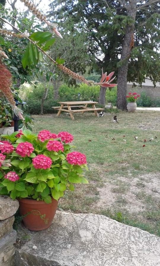 Monolocale Stiacce Apartamento Saturnia Exterior foto